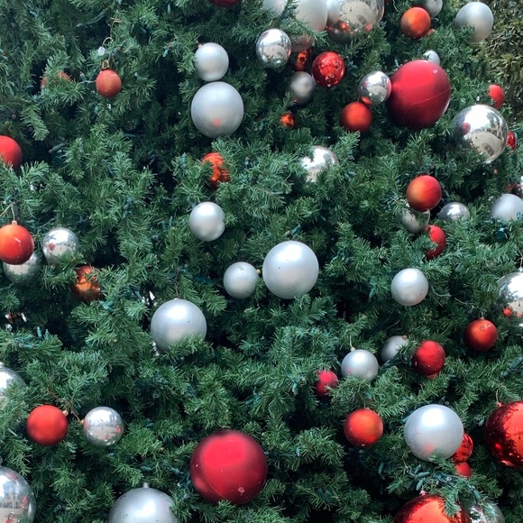 Meet your Posher, Selene - Picture 1 of 1